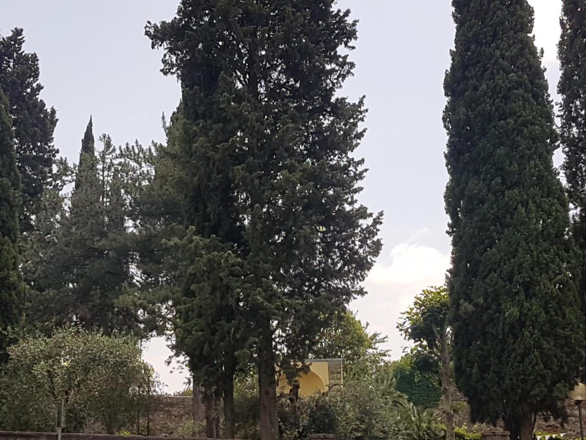 Piccolo Poggio Apartments Firenze Bagian luar foto